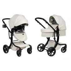 Коляска трансформер 2в1 Aimile Spring
