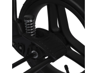 Коляска 2в1 Alis Berta