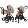 Коляска 2 в 1 Carrello Vector CRL-6550