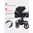 Коляска 2 в 1 Rant Flex Pro 2023 RA074