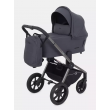 Коляска 2 в 1 Rant Flex Pro 2023 RA074