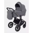 Коляска 2 в 1 Rant Flex Pro 2023 RA074