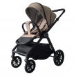 Коляска 2в1 Indigo TRION