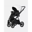 Коляска 2 в 1 Riko Basic Montana X Ecco