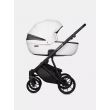 Коляска 2 в 1 Riko Basic Montana X Ecco