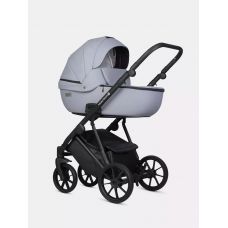 Коляска 2 в 1 Riko Basic Montana X Ecco
