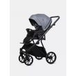 Коляска 2 в 1 Riko Basic Montana X