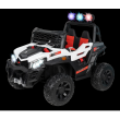 Электромобиль  детский Багги TR113