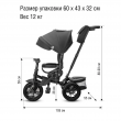 Велосипед трехколесный CITYRIDE LUNAR 2.0 12/10 надувные колеса, фара